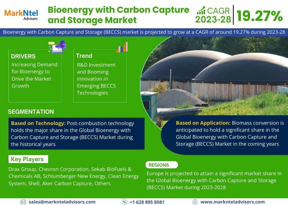 Bioenergy with Carbon Capture and Storage (BECCS) Market